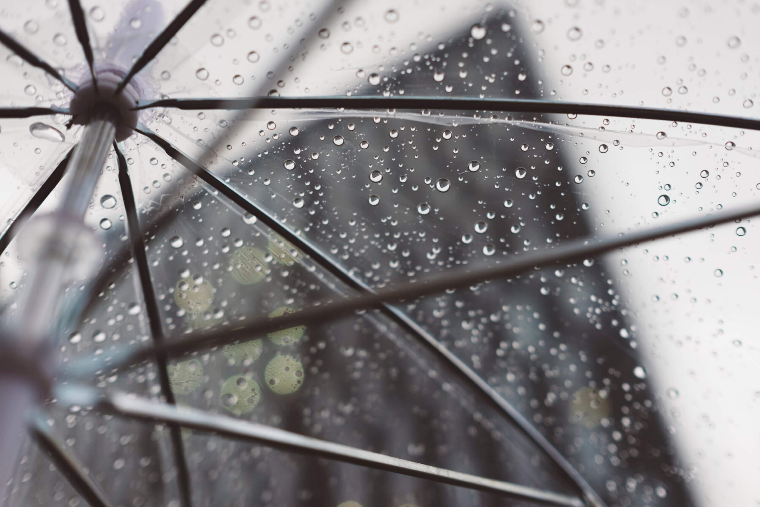 Commercial Umbrella Insurance in Portland & Eugene, OR